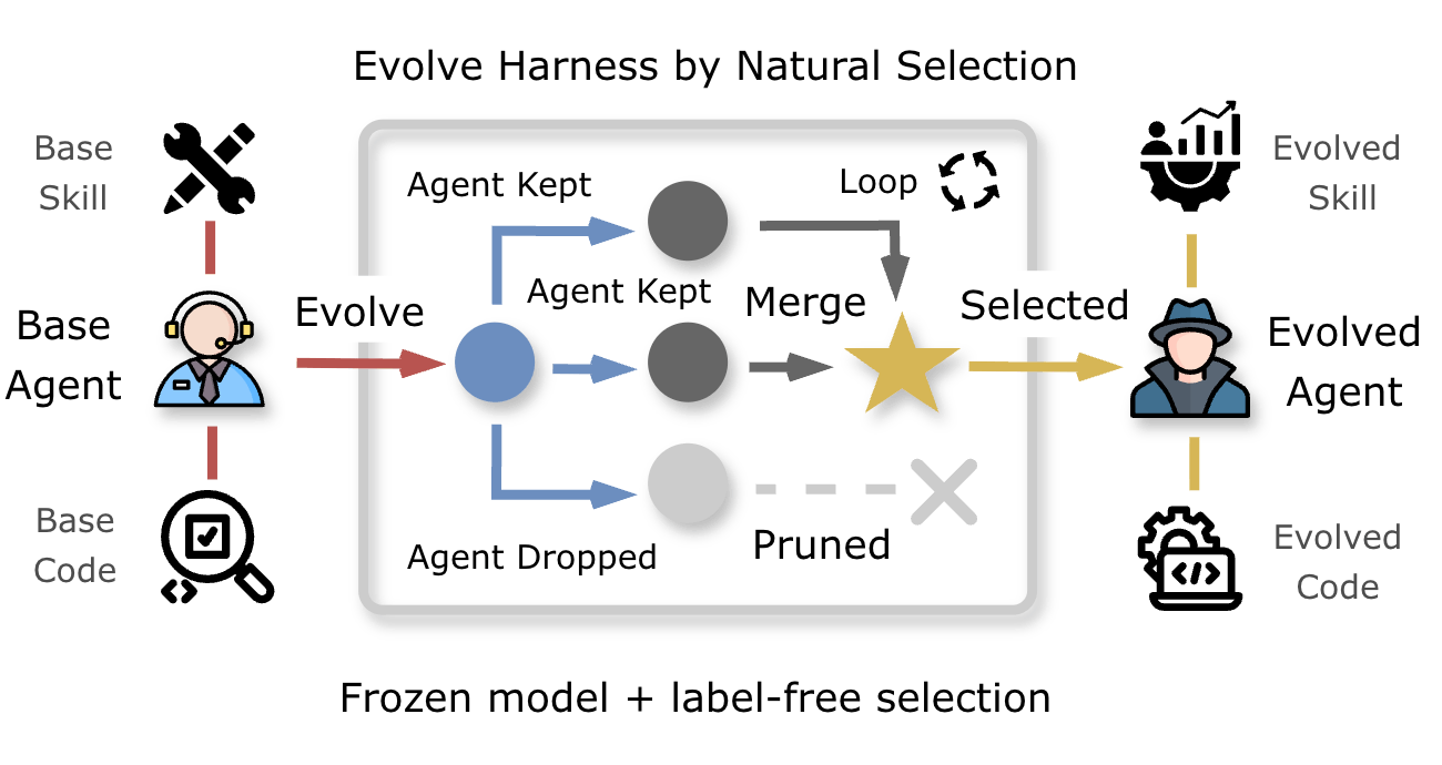 Variants are evolved from a base agent, survivors are kept and merged, pruned lineages are dropped, all with the model frozen.